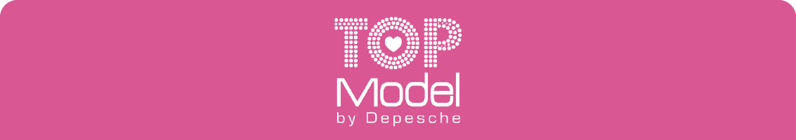 Topmodel activities