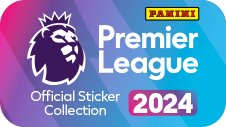 Premier League icon