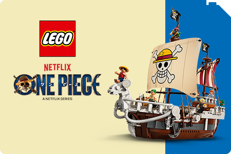 LEGO® One Piece